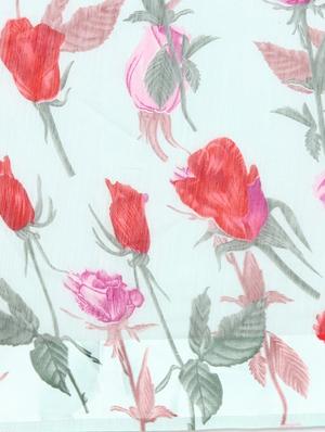 floral printed saree with blouse - 17279528 - Standard Image - 5