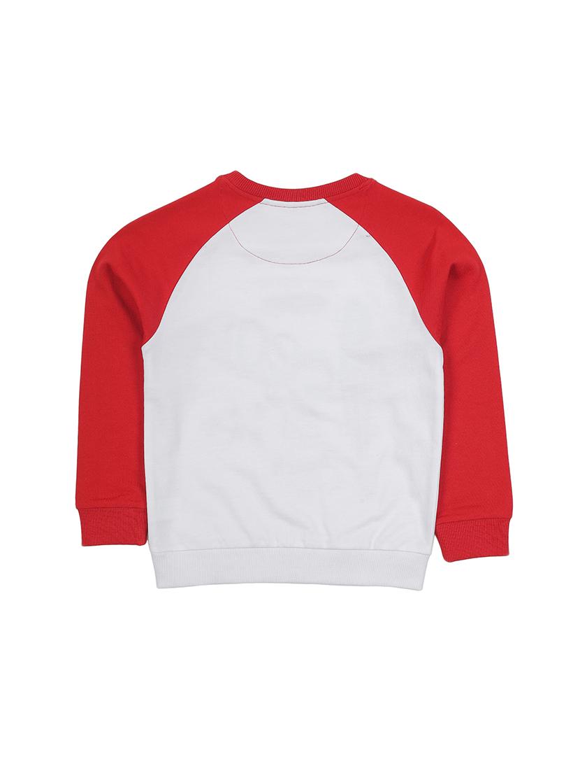 multi colored cotton sweatshirt - 17281505 - Zoom Image - 2