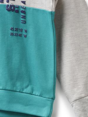 green cotton sweatshirt - 17326288 - Standard Image - 4