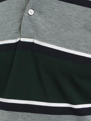 olive green striped polo t-shirt - 17352871 - Standard Image - 5