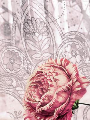 floral printed saree with blouse - 17353340 - Standard Image - 3
