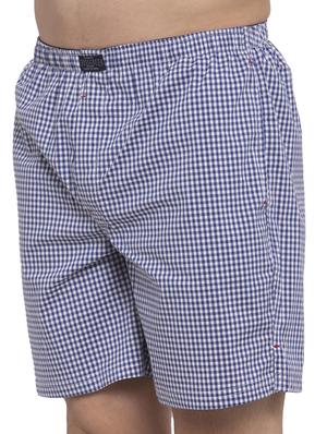 blue checkered boxer - 17369463 - Standard Image - 5