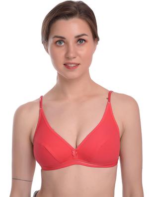 set of 2 bras - 17396564 - Standard Image - 4