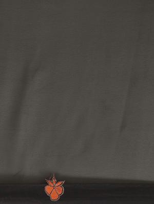 floral embroidered saree with blouse - 17399629 - Standard Image - 3