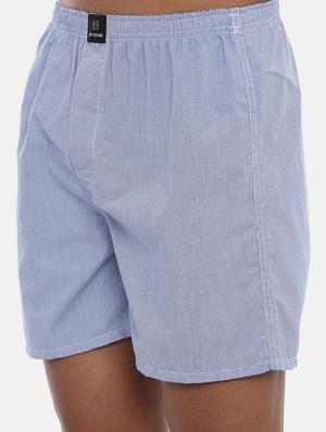 blue checkered boxer - 17405404 - Standard Image - 5