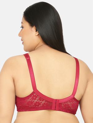 maroon lace plus bra - 17419298 - Standard Image - 3
