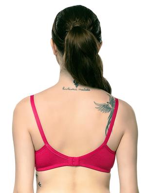 set of 2 bras - 17425796 - Standard Image - 4