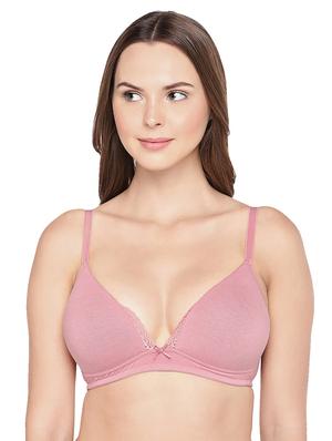 set of 2 bras - 17425855 - Standard Image - 4