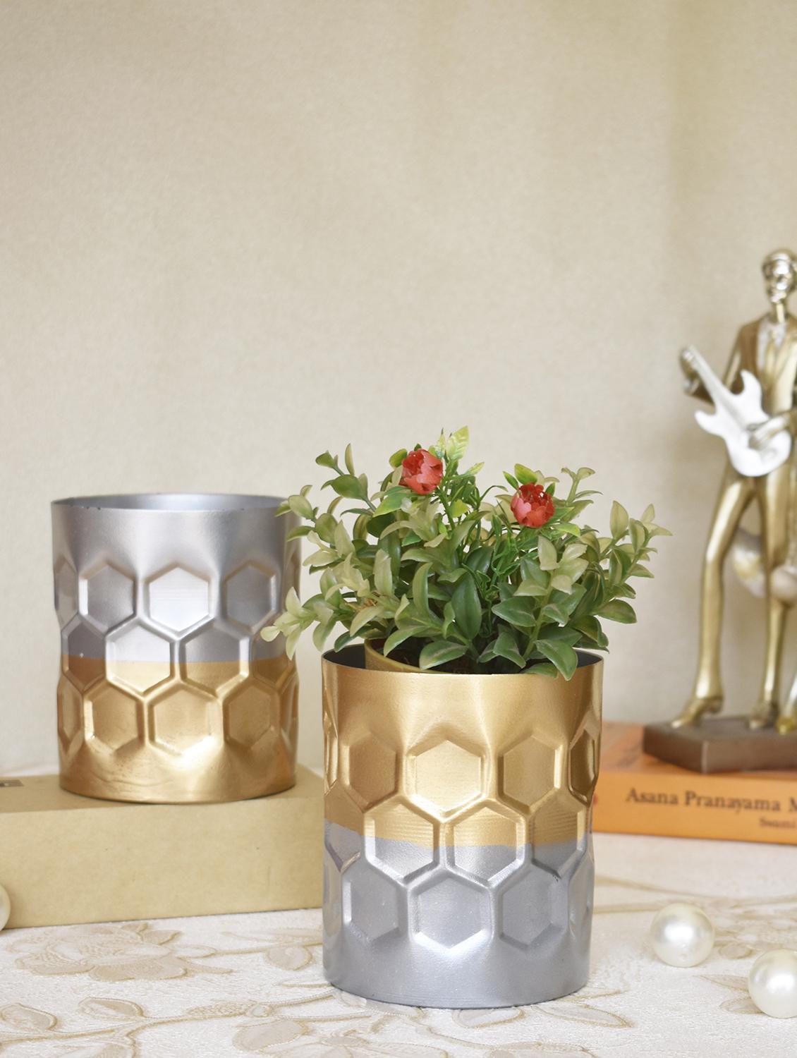 planter cum flower pot - 17441545 - Zoom Image - 1