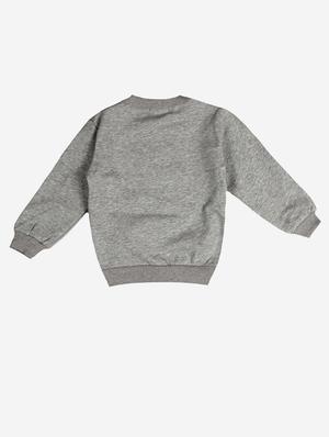 grey cotton fleece sweatshirt - 17466099 - Standard Image - 2
