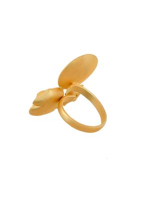 brass finger ring - 17475992 - Standard Image - 3