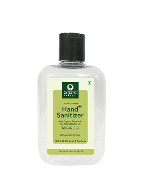 hand sanitizer - hand cleanser - 17504642 - Standard Image - 1