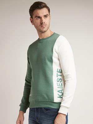 green color block cut & sew sweatshirt - 17520094 - Standard Image - 2