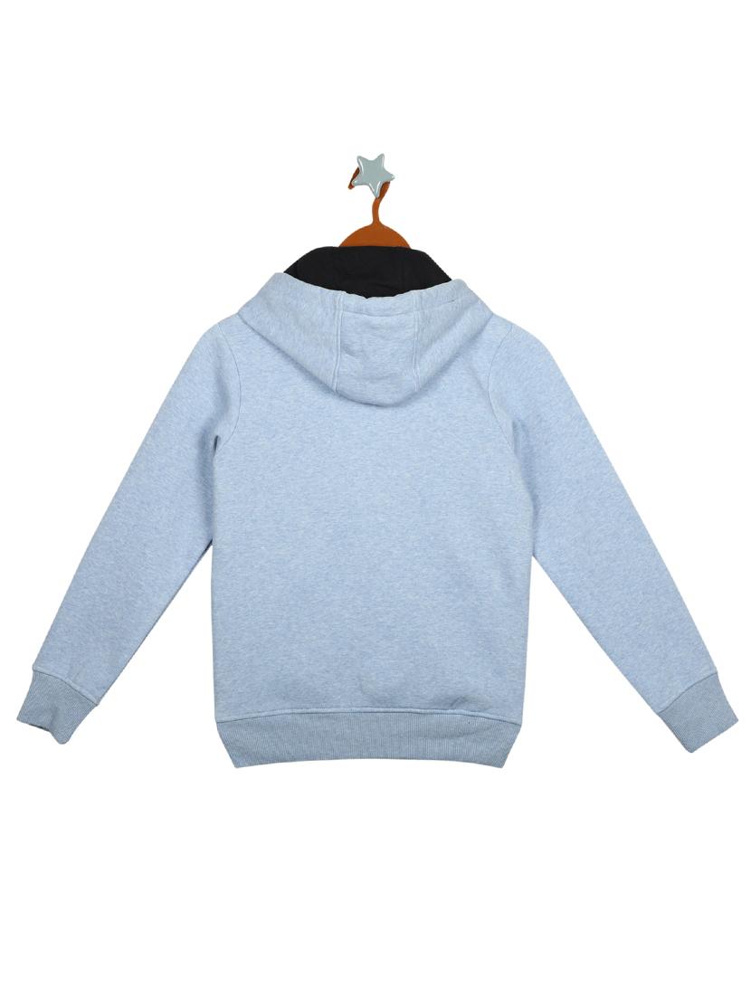 blue cotton sweatshirt - 17524140 - Zoom Image - 2
