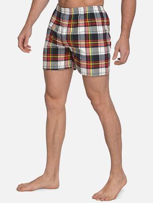 multi colored checkered boxer - 17536449 - Standard Image - 2