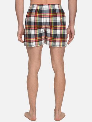 multi colored checkered boxer - 17536449 - Standard Image - 3