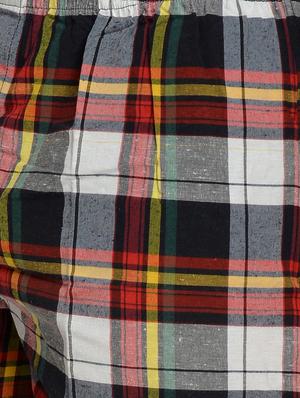 multi colored checkered boxer - 17536449 - Standard Image - 4