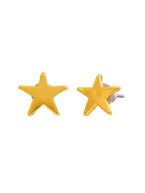 gold metal studs earring - 17542768 - Standard Image - 2