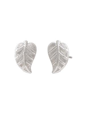 silver metal studs earring - 17542806 - Standard Image - 3