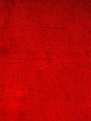 florida red colour single blanket - 17544134 - Standard Image - 5