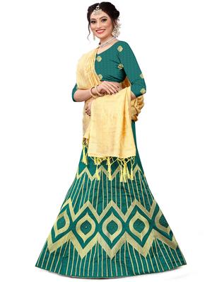 embroidered flared lehenga - 17548864 - Standard Image - 2