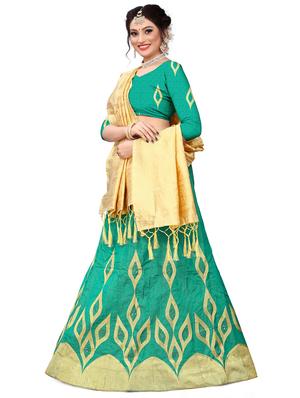 embroidered flared lehenga - 17548876 - Standard Image - 2