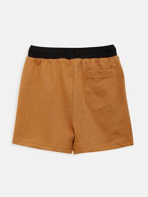 brown cotton shorts & three fourth - 17548916 - Standard Image - 2