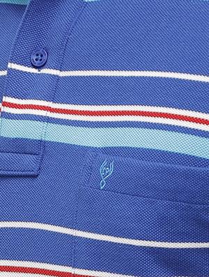 blue striped polo t-shirt - 17607724 - Standard Image - 5