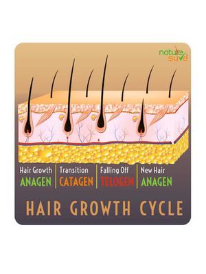 nature sure thumba wonder hair oil for men and women – 2 packs (110ml each) - 17623845 - Standard Image - 3