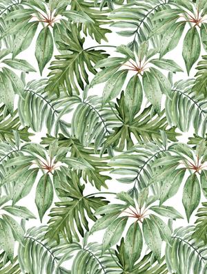 single set of tropical 2.0 - w curtain - 17669529 - Standard Image - 4