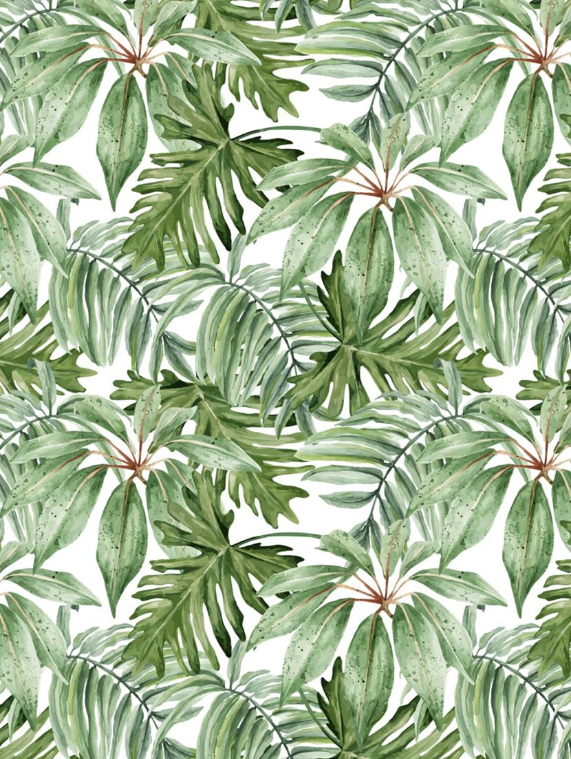 single set of tropical 2.0 - w curtain - 17669529 - Zoom Image - 4