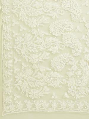 ada hand-embroidered lemon chikankari saree with blouse - 17697471 - Standard Image - 5
