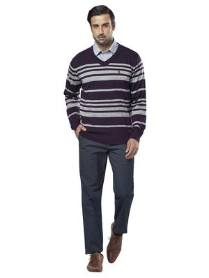 purple striped acrylic pullover - 17768402 - Standard Image - 4