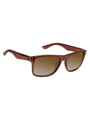 cardon brown wayfarer gradient polarised uv protected unisex sunglass - 17780973 - Standard Image - 2