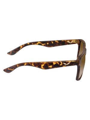 cardon tortoise wayfarer gradient polarised uv protected unisex sunglass - 17780974 - Standard Image - 3