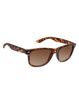 cardon tortoise wayfarer gradient polarised uv protected unisex sunglass - 17780975 - Standard Image - 2