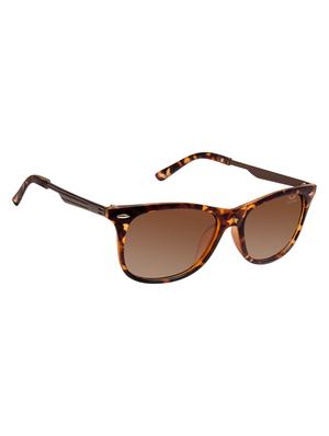 cardon tortoise wayfarer gradient polarised uv protected unisex sunglass - 17780979 - Standard Image - 2