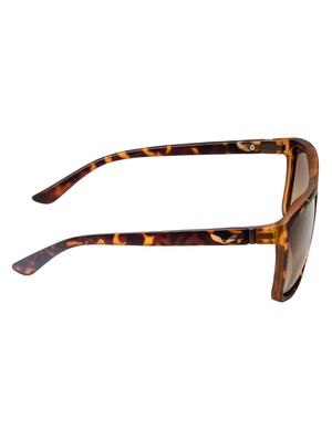 cardon tortoise wayfarer gradient polarised uv protected unisex sunglass - 17780983 - Standard Image - 3