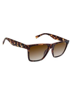 cardon tortoise wayfarer gradient polarised uv protected unisex sunglass - 17780984 - Standard Image - 2