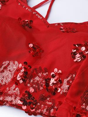 red net aline lehenga - 17795720 - Standard Image - 5