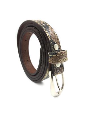 brown  leather belt - 17796118 -  Standard Image - 1