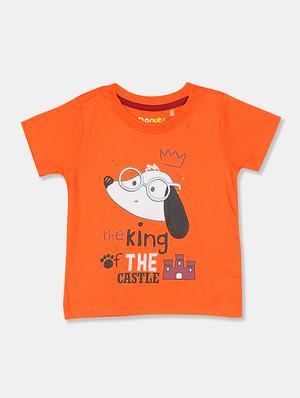 set of 5 printed t-shirt - 17840540 - Standard Image - 3