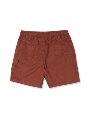 brown solid shorts - 17841879 - Standard Image - 2