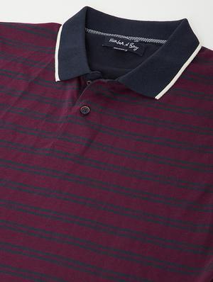 maroon striped polo t-shirt - 17842728 - Standard Image - 5