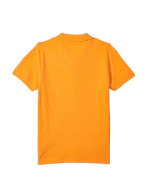 polo neck solid t-shirt - 17952242 - Standard Image - 2
