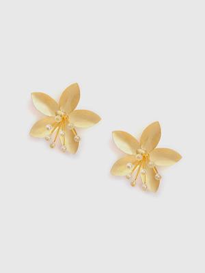 gold metal studs earring - 18182478 - Standard Image - 2