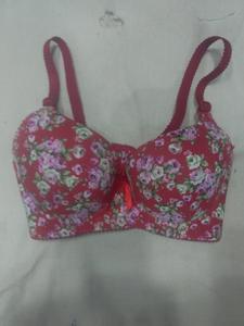fancy bra - 18215133 - Standard Image - 2