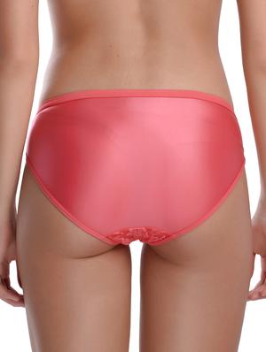 orange net bikini panty - 18281686 - Standard Image - 4