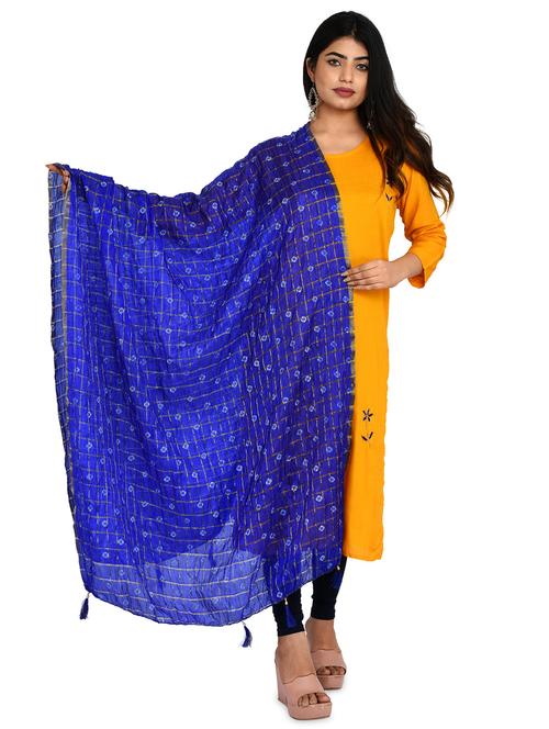 blue chiffon embroidered dupatta - 18324680 - Standard Image - 1