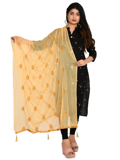 beige chiffon embroidered dupatta - 18324682 - Standard Image - 1